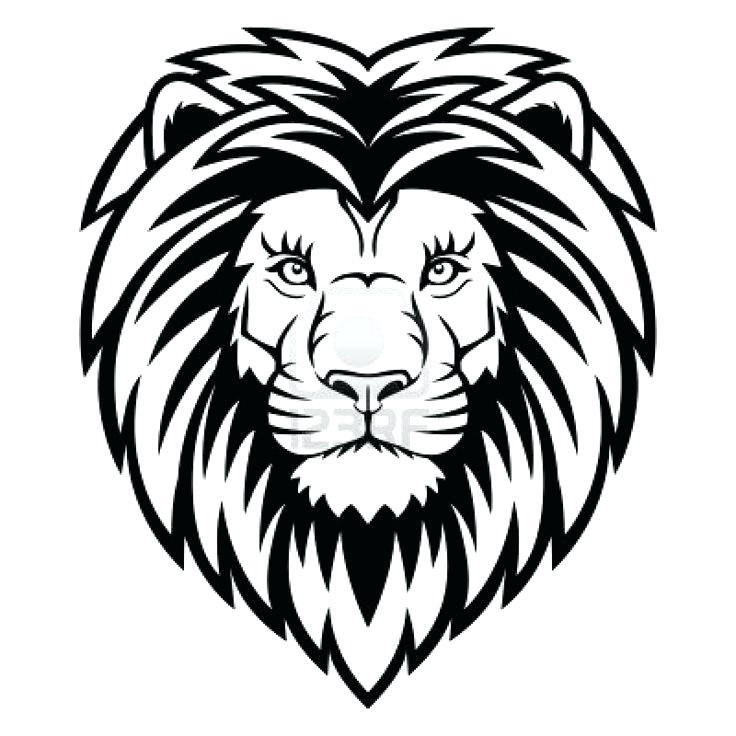736x736 How To Draw A Realistic Lion Face Lion Predator Black And White