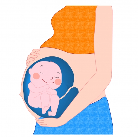 468x464 Cartoon Pregnant Woman Vectors Stock In Format For Free Download
