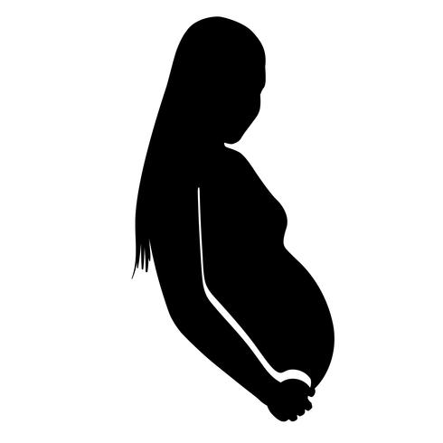490x490 Pregnant Woman Vector
