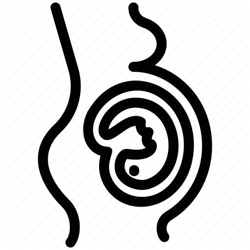 512x512 child bearing, maternity, motherhood, pregnant lady, pregnant