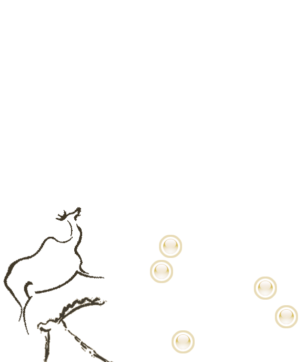 600x720 France Cave Art Paintings Rock Art Archive