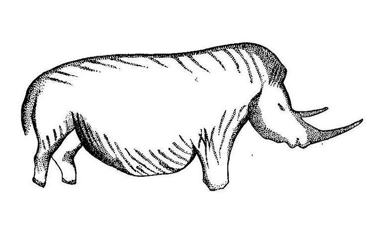 750x460 november calendar coloring book, wooly rhinoceros, prehistoric