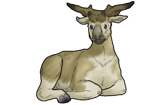 560x360 collection of free antelope drawing prehistoric download on ui ex