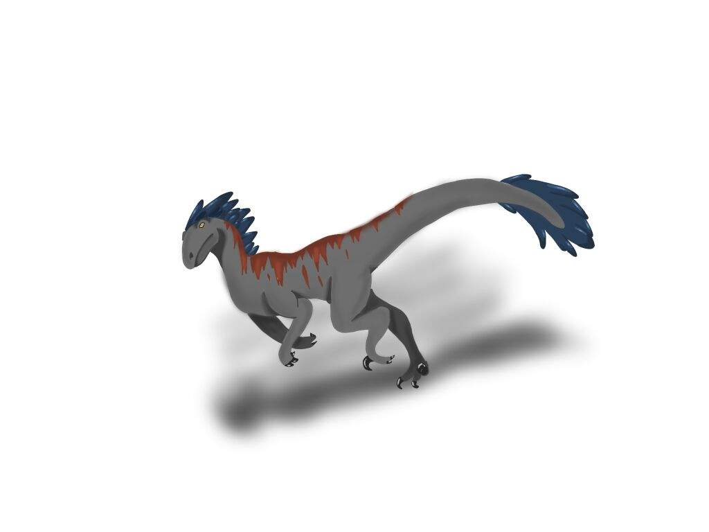 1024x768 Drawings For Bullet The Raptor Prehistoric Amino