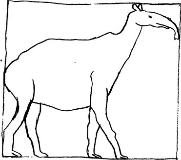 371x328 Pre Historic Art