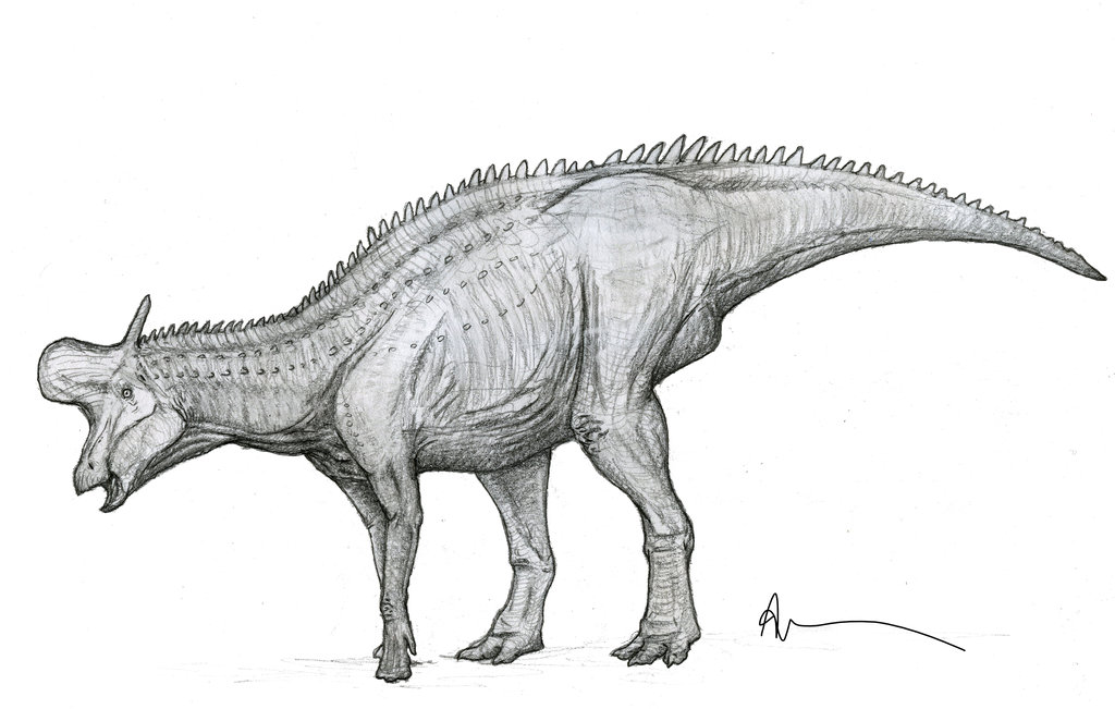 1024x651 Prehistoric Kingdom Forum View Topic