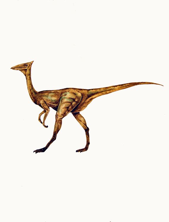 570x745 Illustration