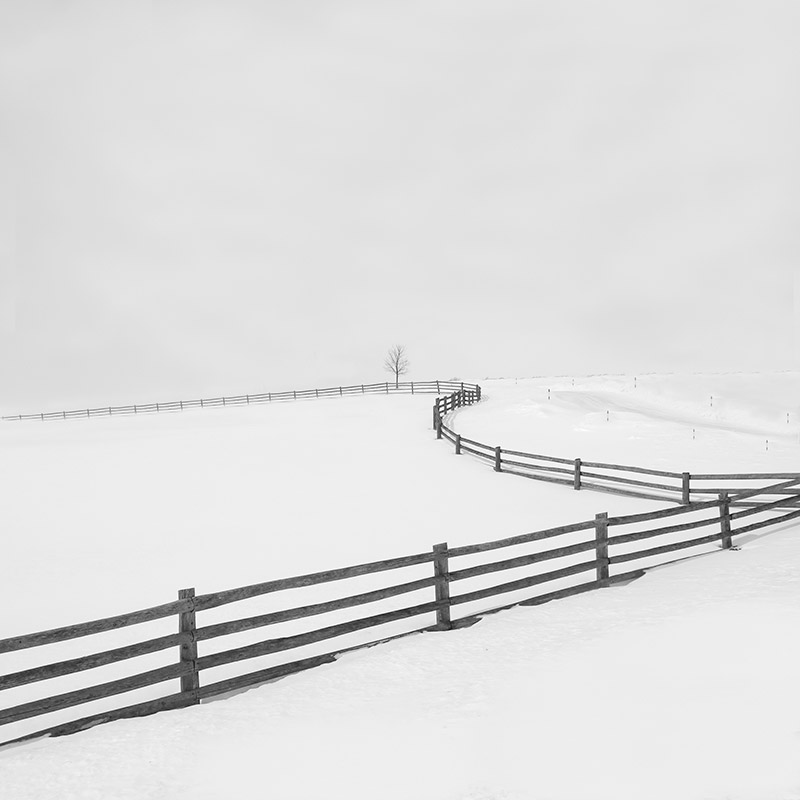 800x800 prelude to silence vi john kosmopoulos