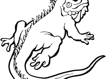 440x330 Frilled Lizard Coloring Pages