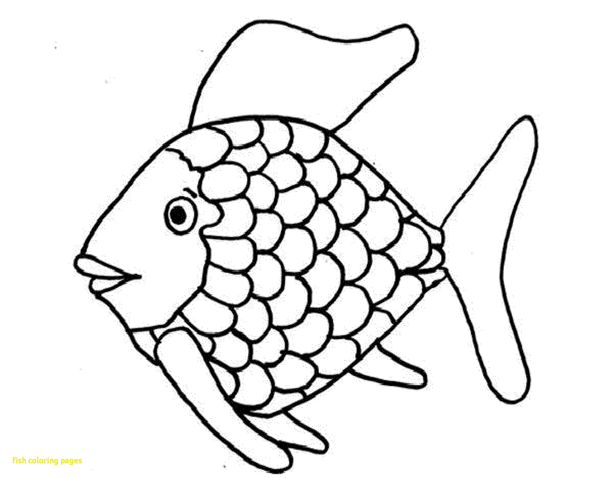 2000x1560 Fish Drawing For Colouring Personal Coloring Books Book Spiderman