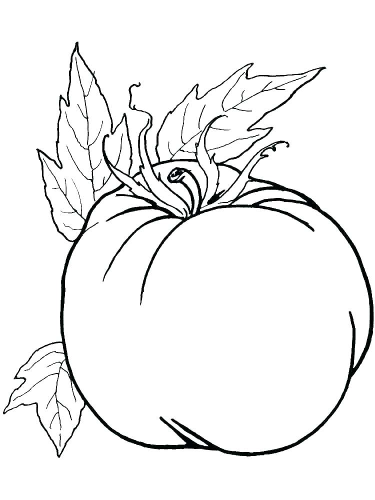 750x1000 Fruit And Vegetable Worksheet For Kids Crafts Worksheets Year