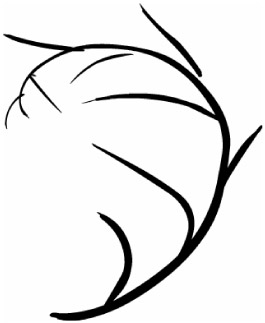 265x323 Using Drawing Tools Macromedia Bible