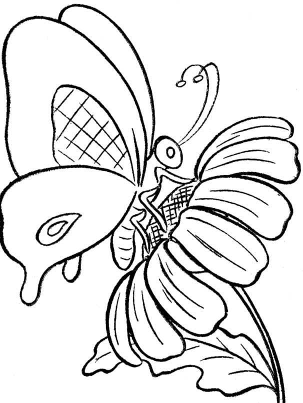 606x806 Collection Of Free Drawing Butterflies Flower Download On Ui Ex