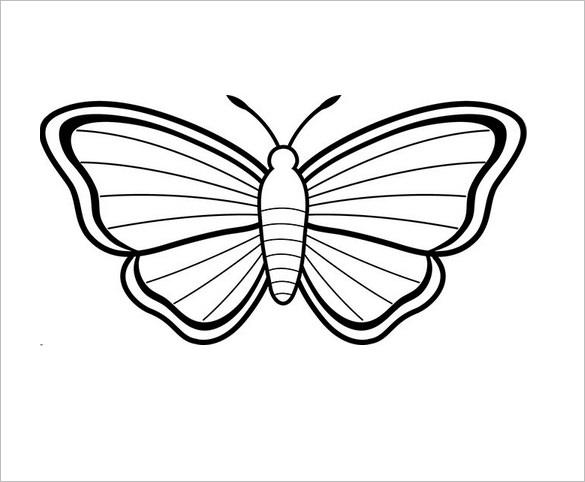 585x482 Butterfly Templates