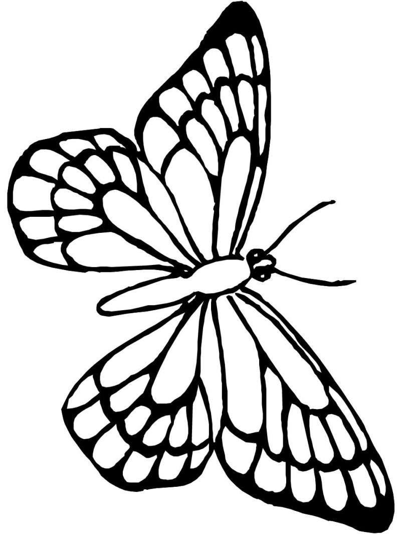 800x1066 Cool Draw Beautiful Butterfly Coloring Pages In Seasonal