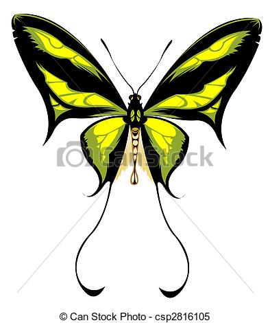 394x470 Drawing Of Beautiful Butterfly In A White Background