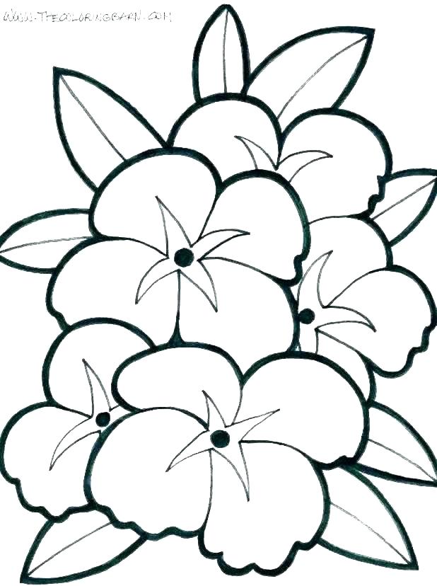 618x828 pretty drawings of flowers pretty flowers to draw step