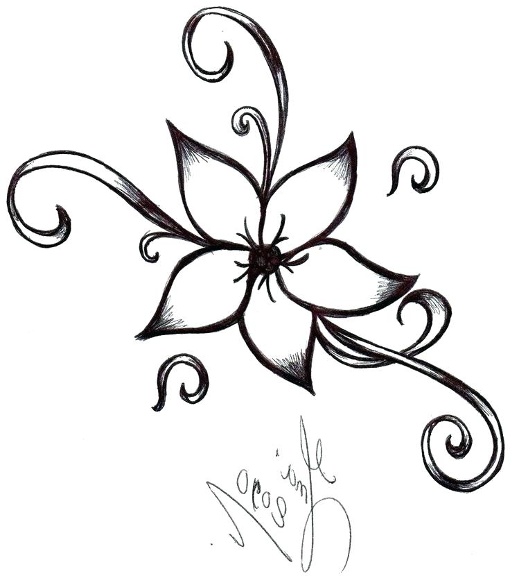 736x830 Easy Pencil Drawings Of Flowers Running