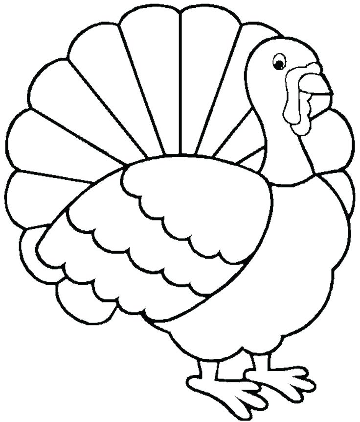 736x861 Drawing Of A Turkey Simple Turkey Drawing Draw Drawings Of Turkeys