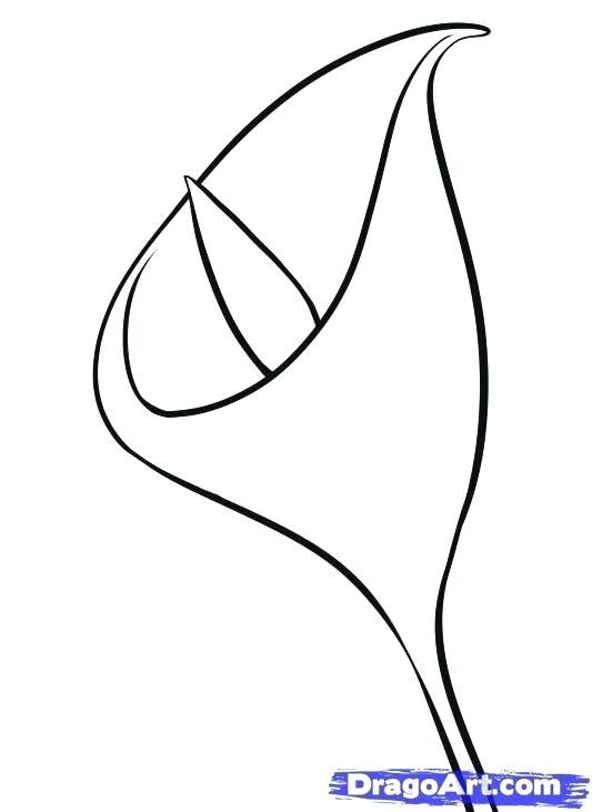 533x731 Easy Pretty Drawings Of Flowers