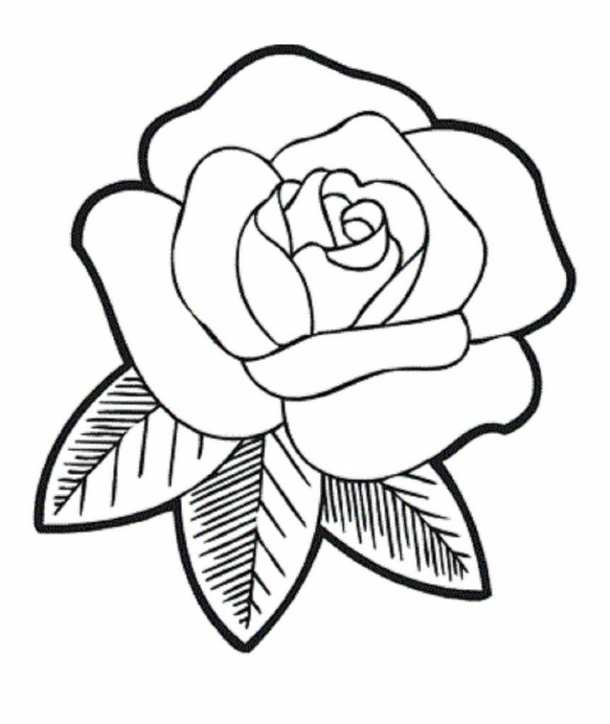 864x1024 Rose Sketch Easy Step