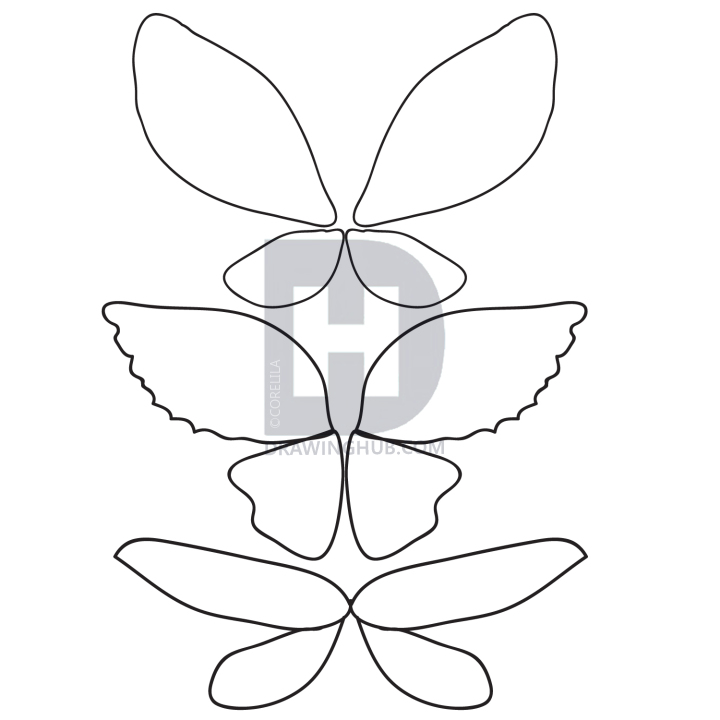 720x720 How To Draw Fairy Wings, Step