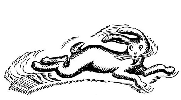 600x330 The Most Beautiful Illustrations From Years Of Brothers Grimm