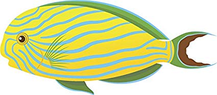 425x187 Pretty Colorful Tropical Fish Cartoon Vinyl Decal
