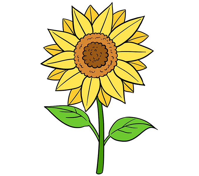 678x600 Pretty Flower Drawing Pictures And Cliparts, Download Free