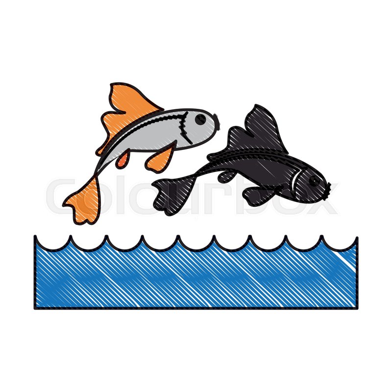 800x800 Drawing Fish Koi Chinese Animal Asian Stock Vector Colourbox