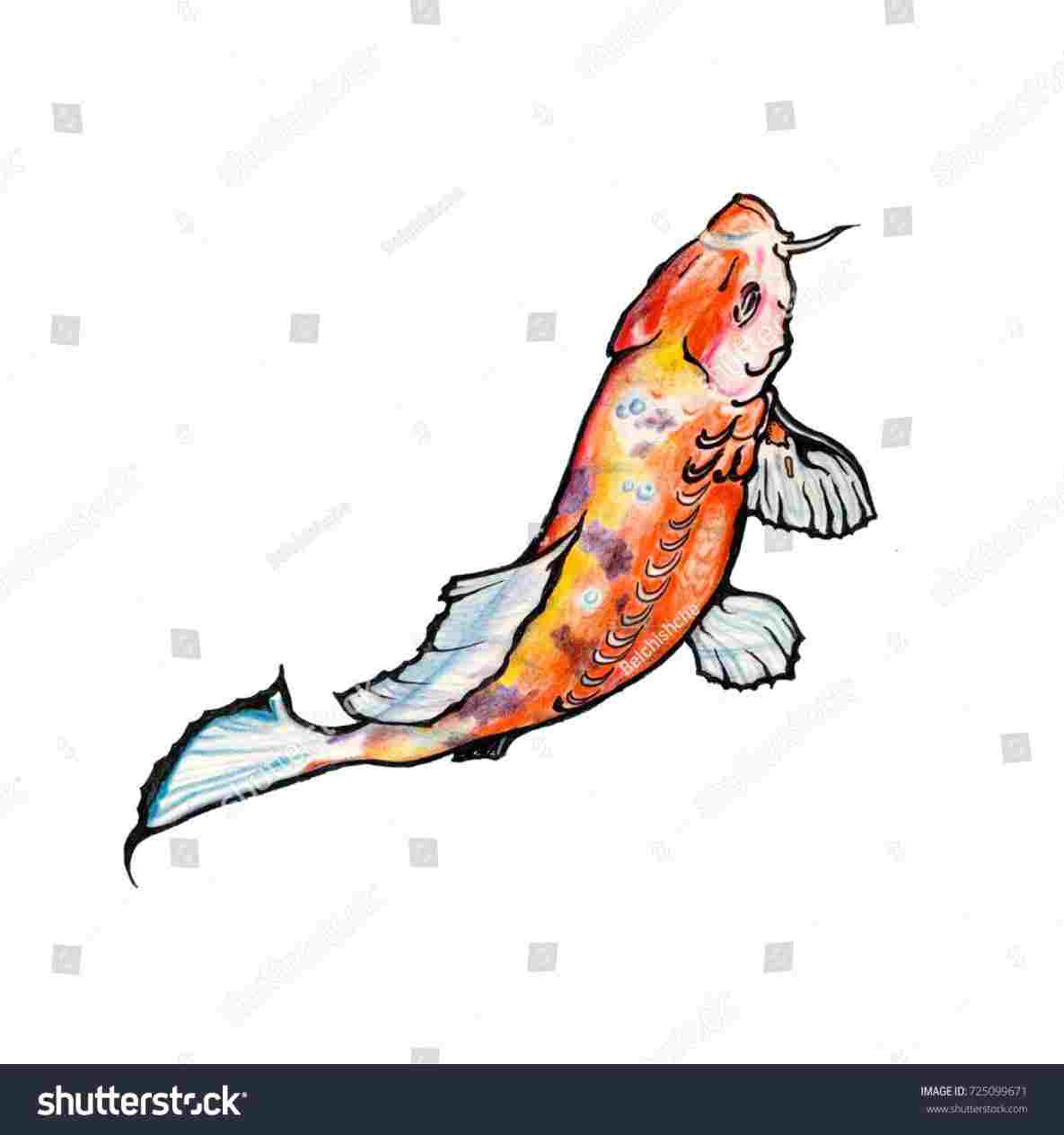 1185x1264 Koi Fish Drawings In Pencil