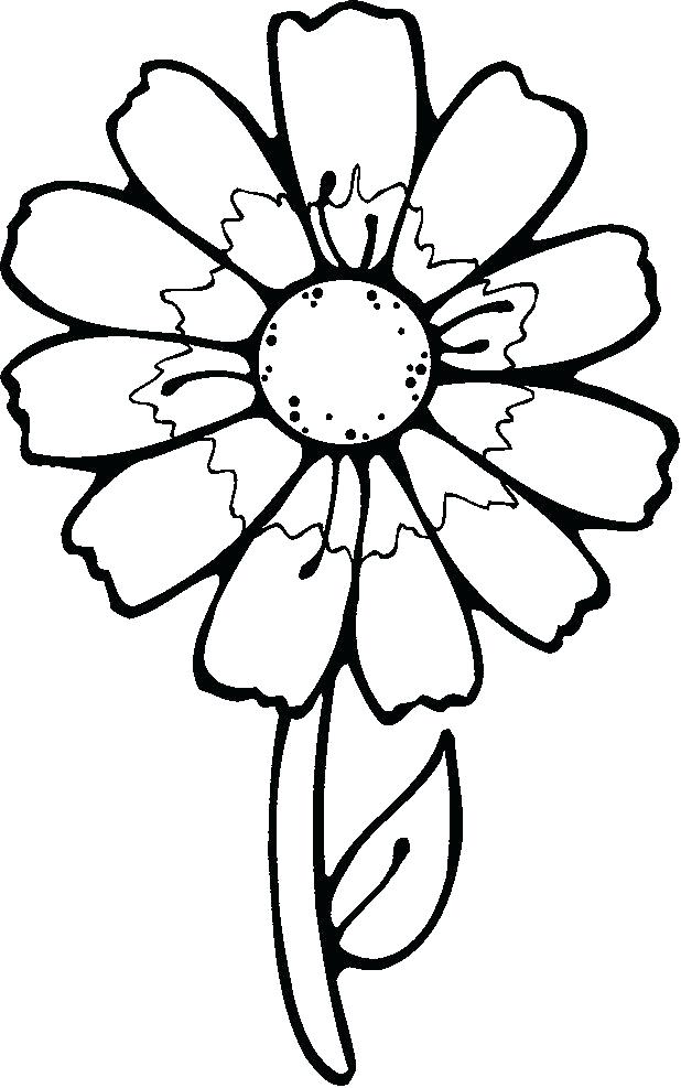 618x987 drawings of pretty flowers easy to draw flowers pretty flowers