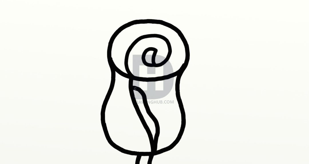 1080x575 How To Draw A Rose, Step