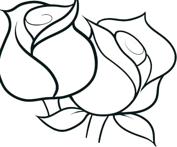 728x606 Coloring Picture Of A Flower Pages Flowers Printable For Adults