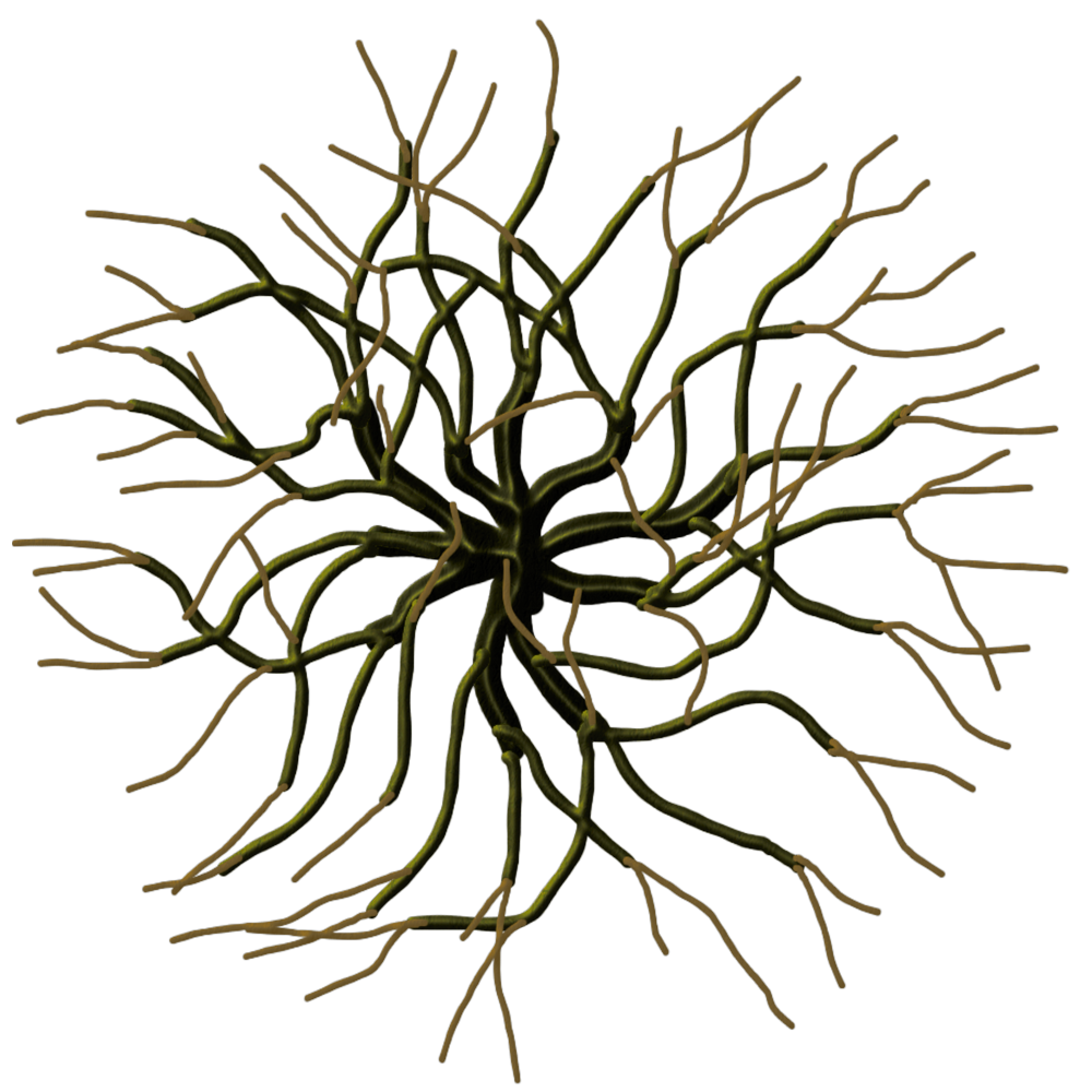 1000x1000 Collection Of Free Pretty Drawing Tree Download On Ui Ex