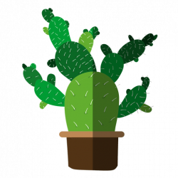 250x250 Cactus Drawing Png, Picture