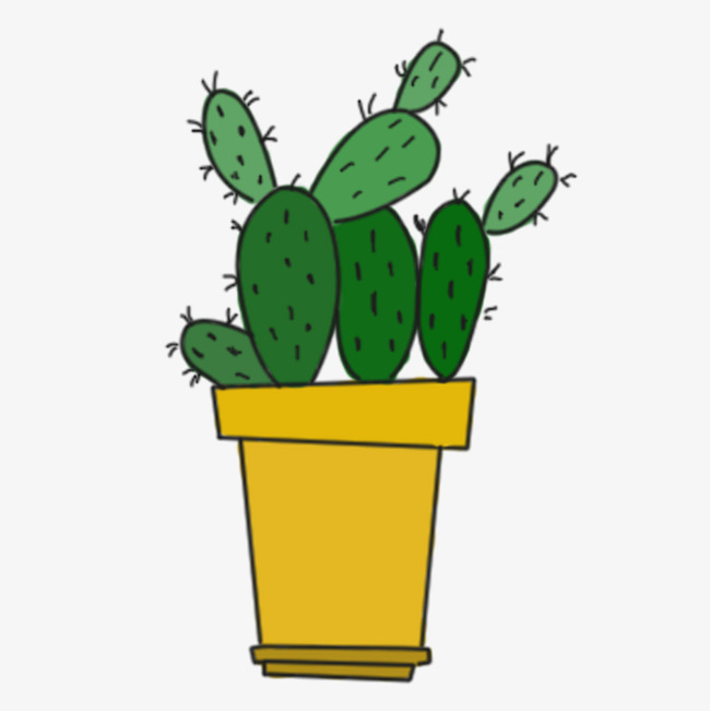 650x651 Green Plant Prickly Pear Green Cactus Image