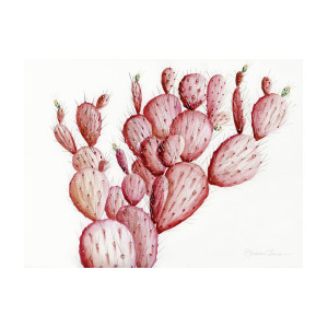 300x300 Pink Prickly Pear Cactus Painting