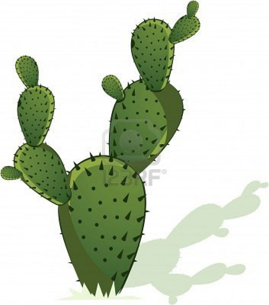 1059x1200 Cactus Signs