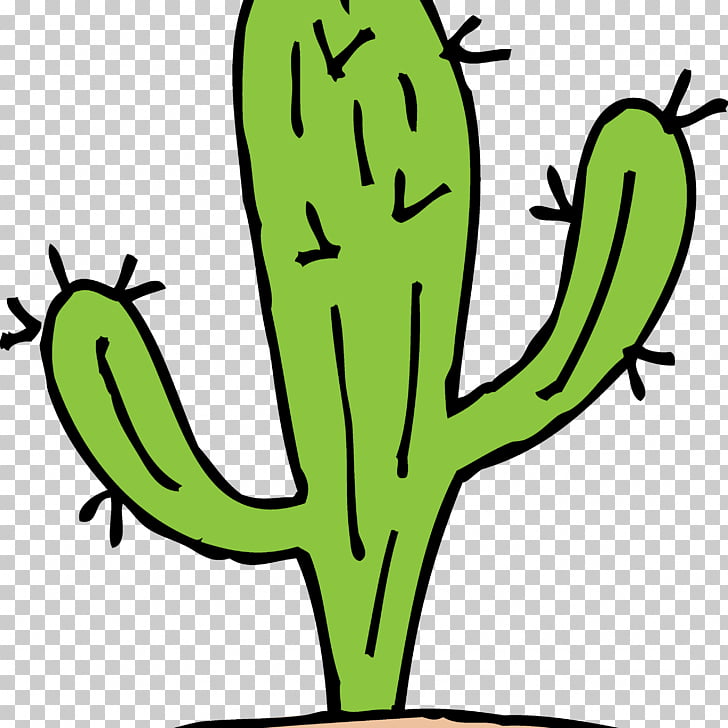728x728 Cactaceae Black Drawing Cactus Png Clipart Free Cliparts Uihere