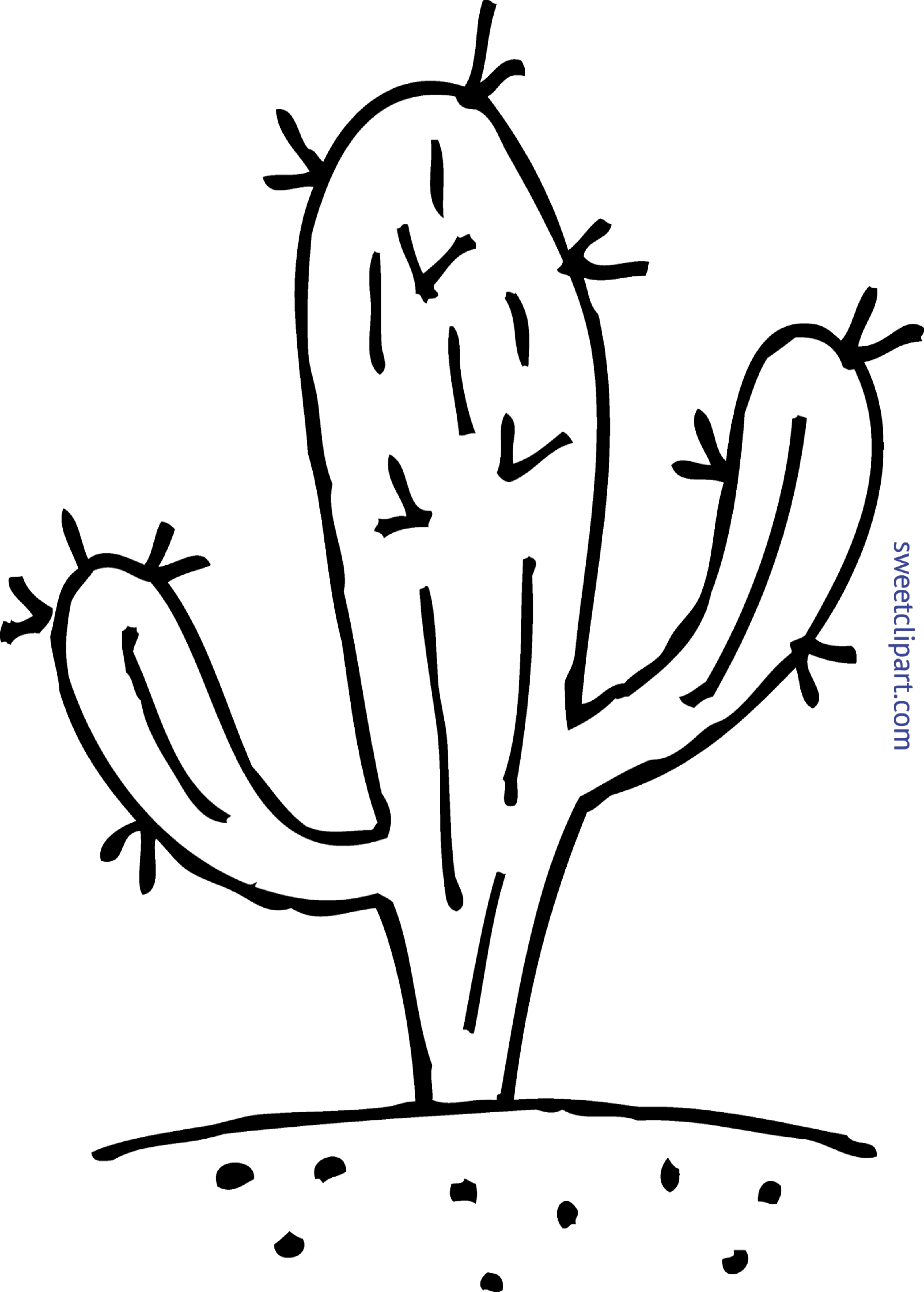 3216x4497 Drawing Cactus Family Transparent Png Clipart Free Download