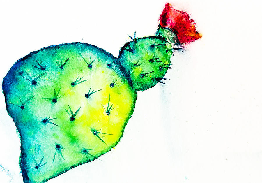 900x628 flowering prickly pear painting