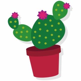 320x320 Hd Collection Of Free Cactus Vector Flower Drawing Download