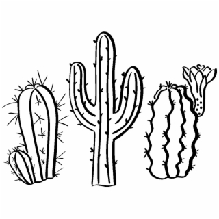 320x320 hd sticker boheme cactus piquants ambiance sticker col