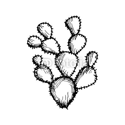 400x400 Cactus Big With Needles Vector Isolated On White Background Buy