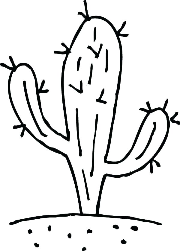 600x839 Cactus Coloring Sheet