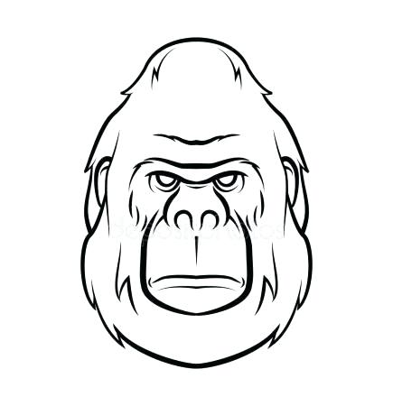 435x450 gorilla drawings gorilla drawing google search primates primates