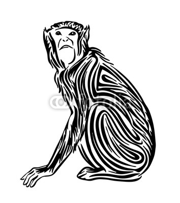 354x400 Hand Drawn Monkey Outline Sketch Vector Black Ink Drawing Animal