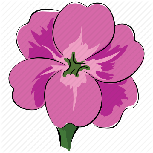 512x512 Collection Of Free Violet Drawing Primrose Download On Ui Ex