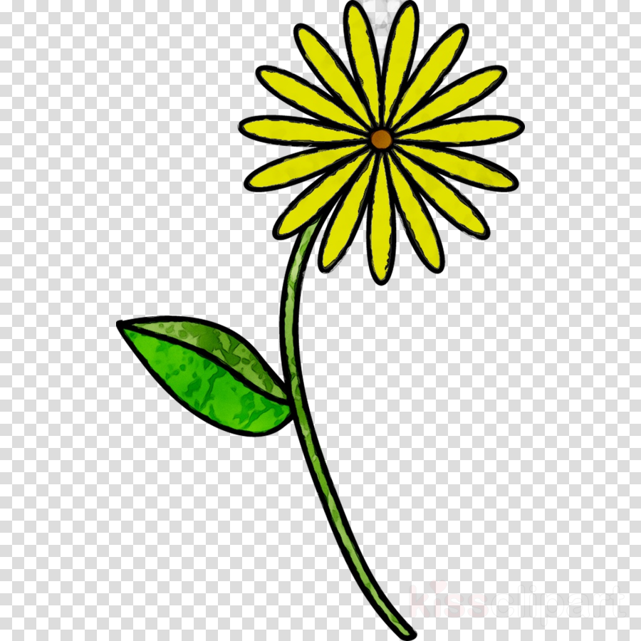 900x900 Drawing, Flower, Art, Transparent Png Image Clipart Free Download